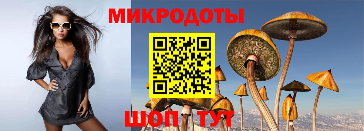 Псилоцибиновые грибы мицелий  Псилоцибиновые грибы ЛСД  Вход с VPN  Ахтубинск 